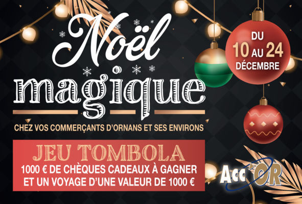 Noël Magique du 10 au 24 Décembre